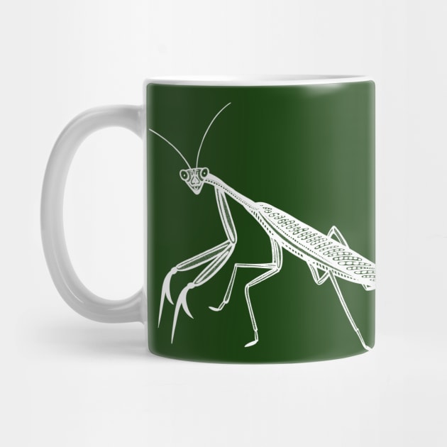 Praying Mantis Ink Art - cool detailed insect design by Green Paladin